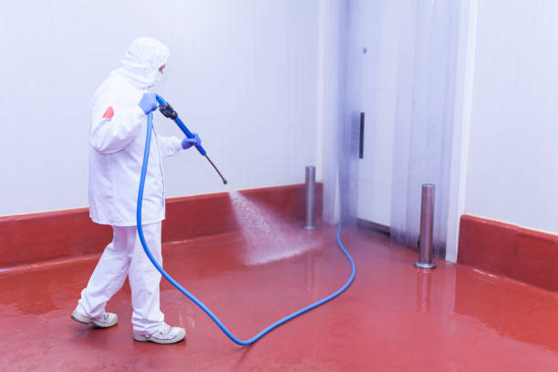 Best Gutter Cleaning and Brightening in August, CA